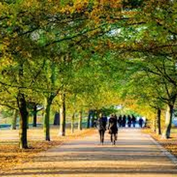 Walk in the Park