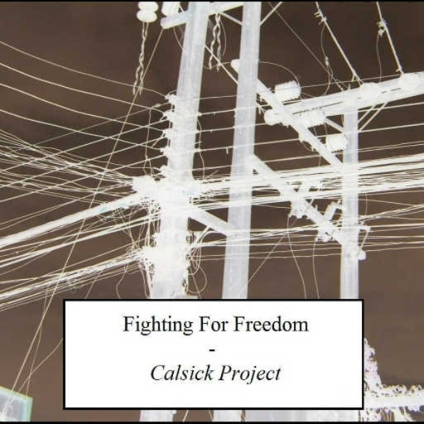 Fighting For Freedom