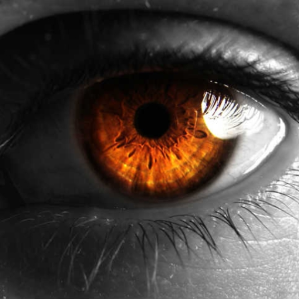 Fire in Her Eyes