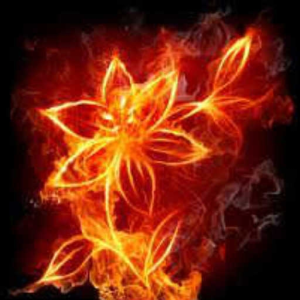 Fire Light (Melonade Remix)