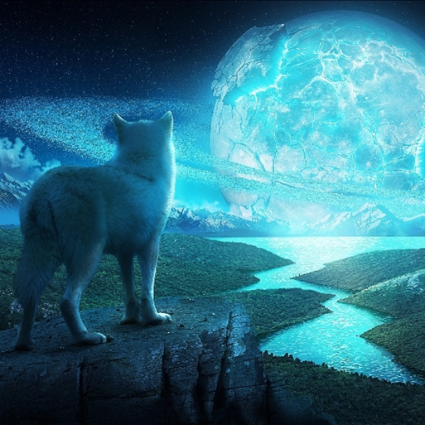 Eternal [AT Day 2020]
