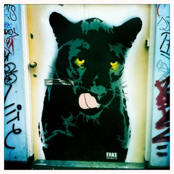 Doors