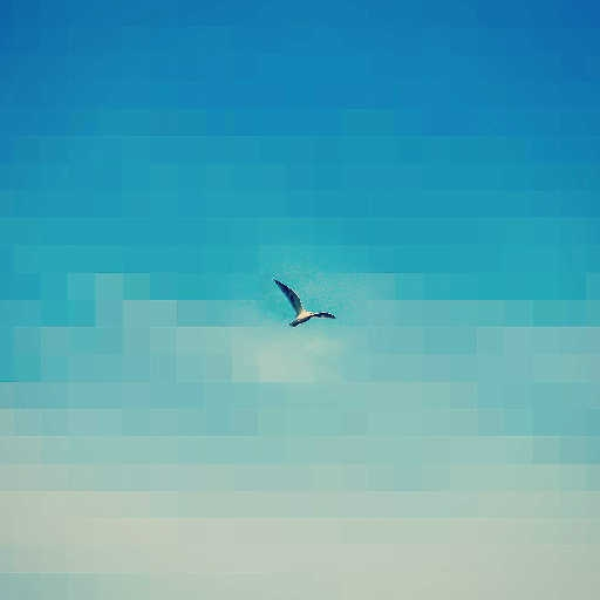 flight (free download in description c:)