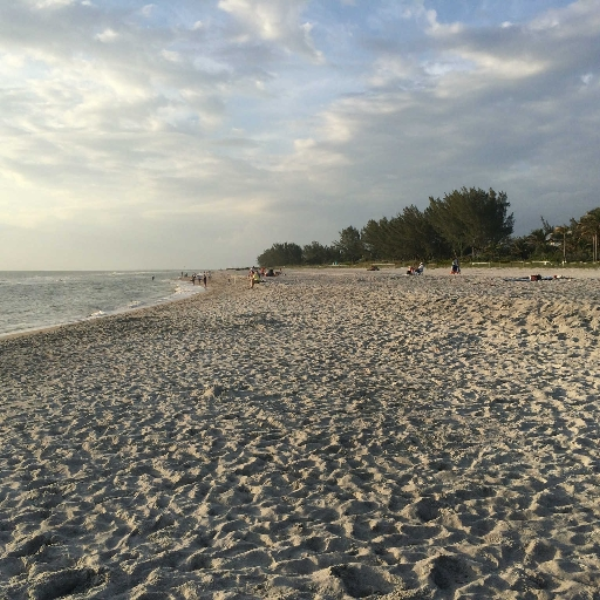 FLORIDA RUM