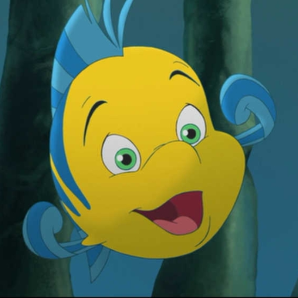flounder (loop)
