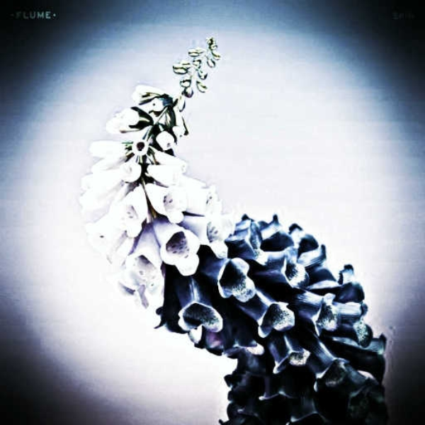 Flume/Skin (Raku Remix) w/vocals