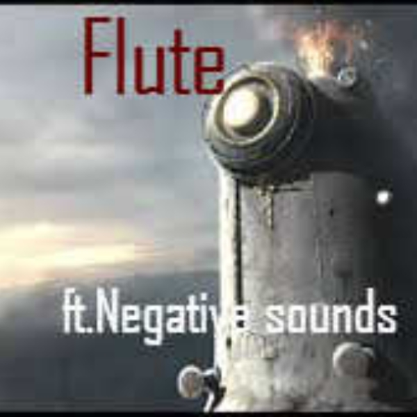 Flute ft.Negative Sounds