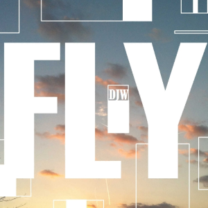 FLY