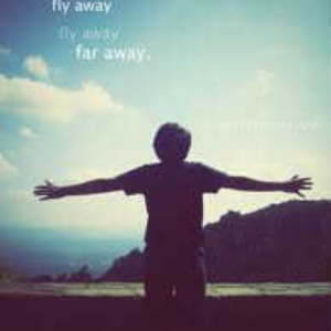 Fly Away