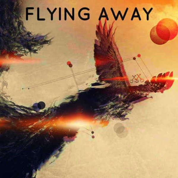 Flying Away (D&M Remix)
