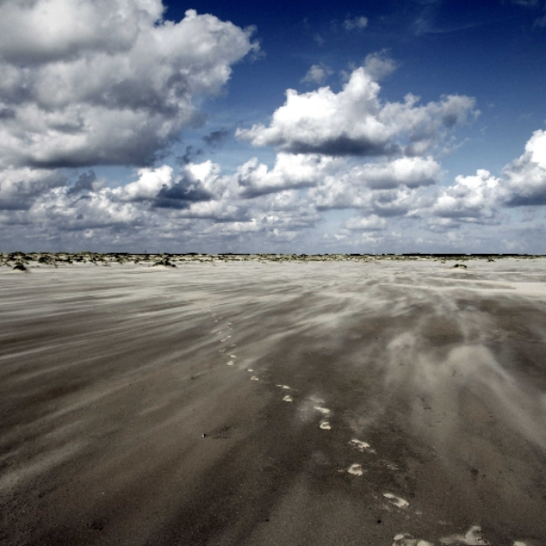 footprints