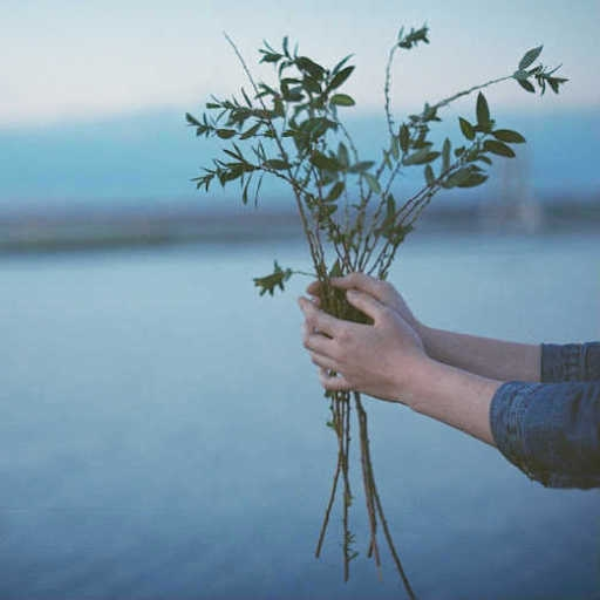 for you