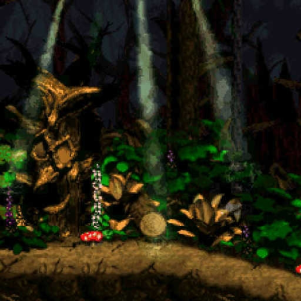 Forest