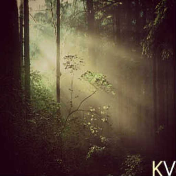 Forest's Visions