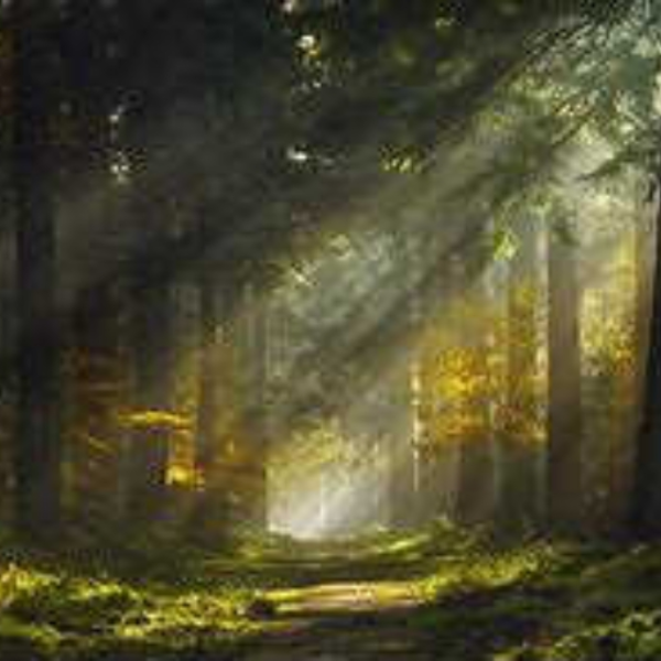 forests of mist