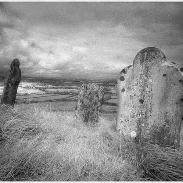 Forgotten Graves (Remixed)