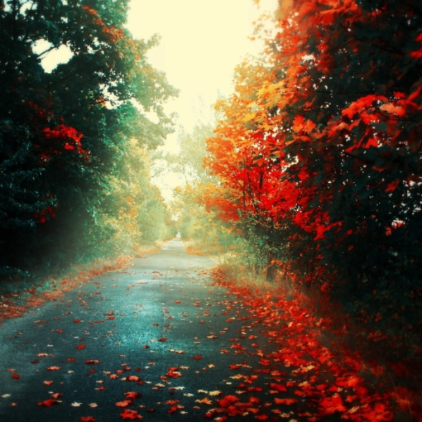 Forgotten Memories