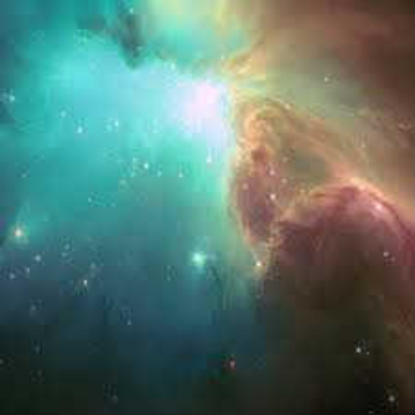 Fragments of The Universe