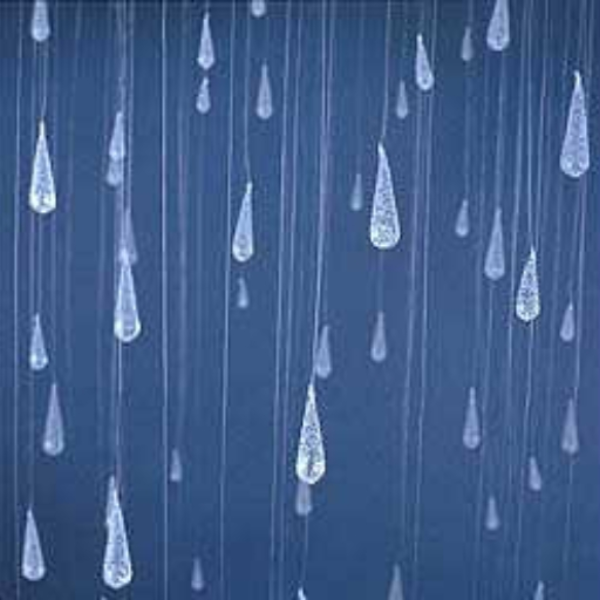 Fred Raindrops