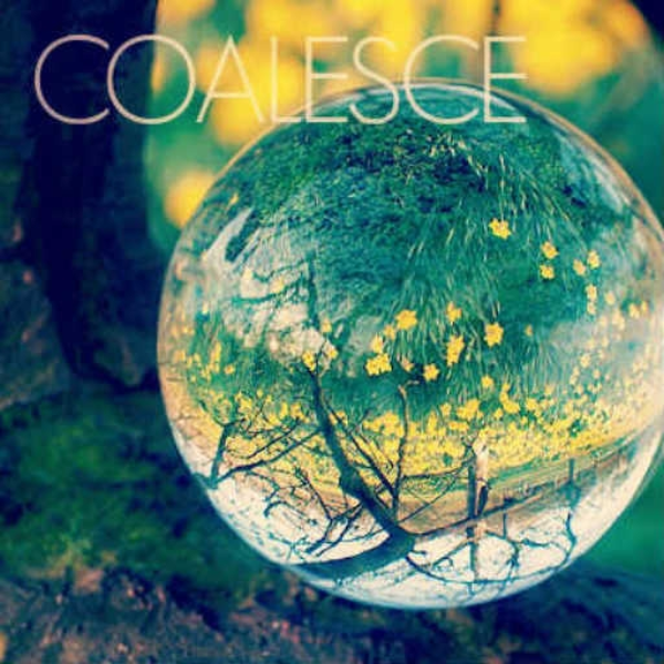 Frij + Lux - Coalesce