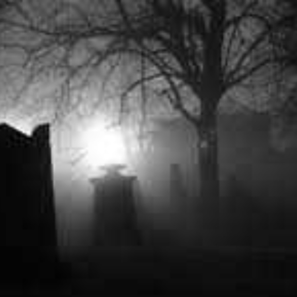From The Grave
