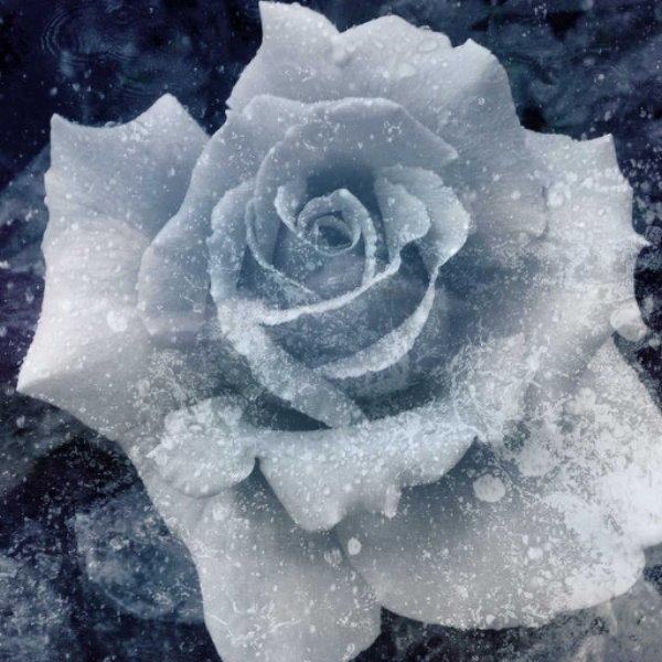 Frozen
