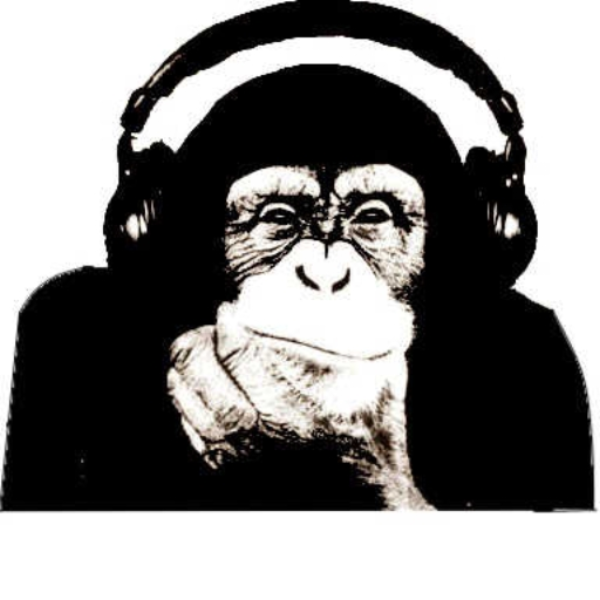 FUNKY MONKEY IS REBORN