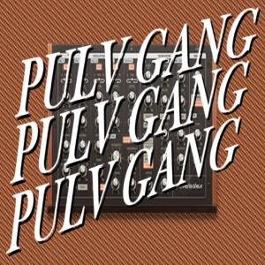 PULVGANG