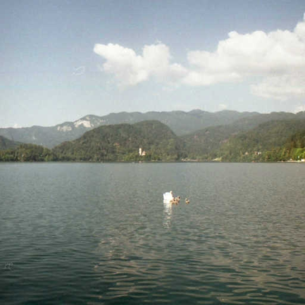 Garibaldi