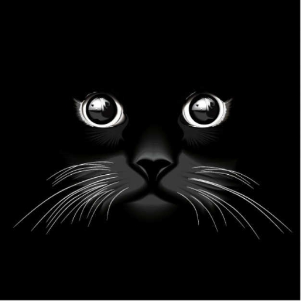 GatoFlojo