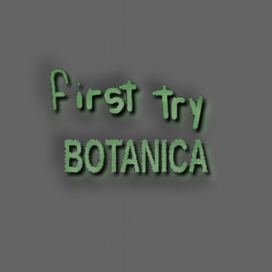 first attempt [botanica]
