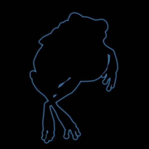 Genesis Frog