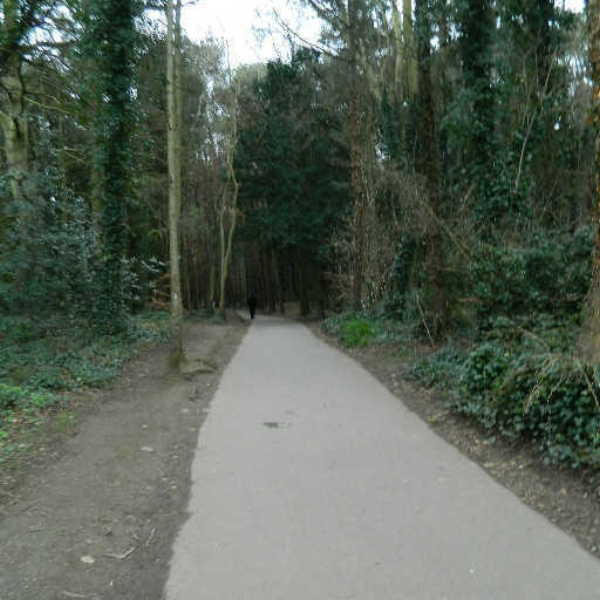 Getting Lost