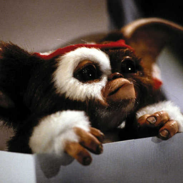Gizmo