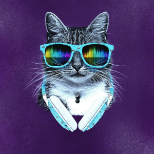 Catstep