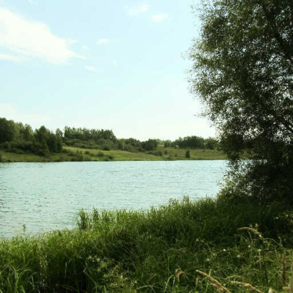 Glares and Lakes