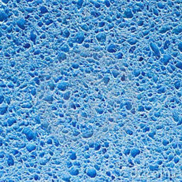 Glossy Sponge