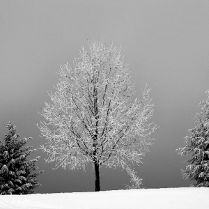 Slow down in a frozen state