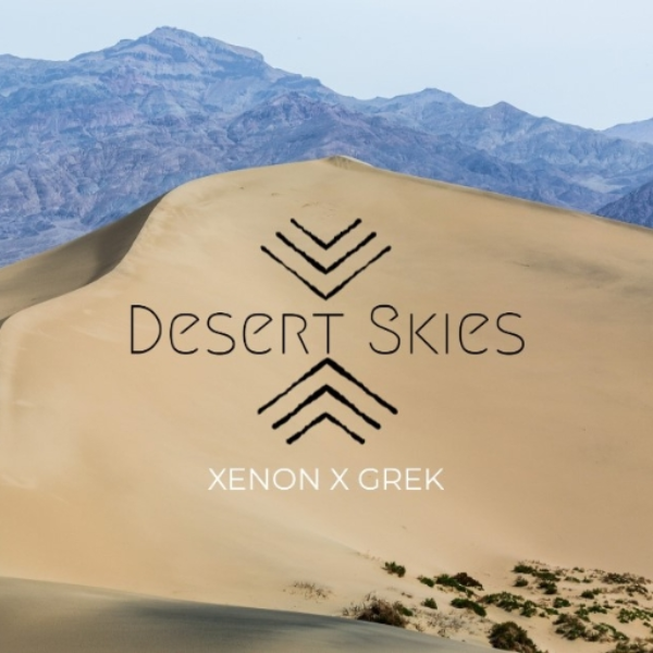 Desert Skies
