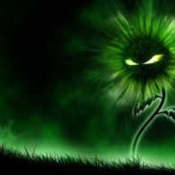 Havoc