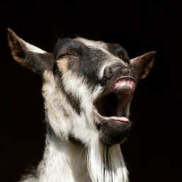 Goatplay