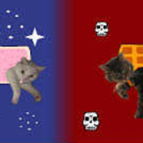 Good Cat Bad Cat