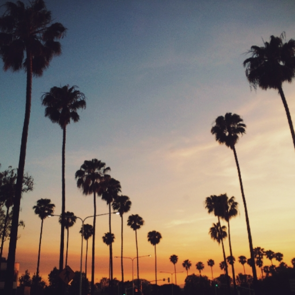 Summer Vibez
