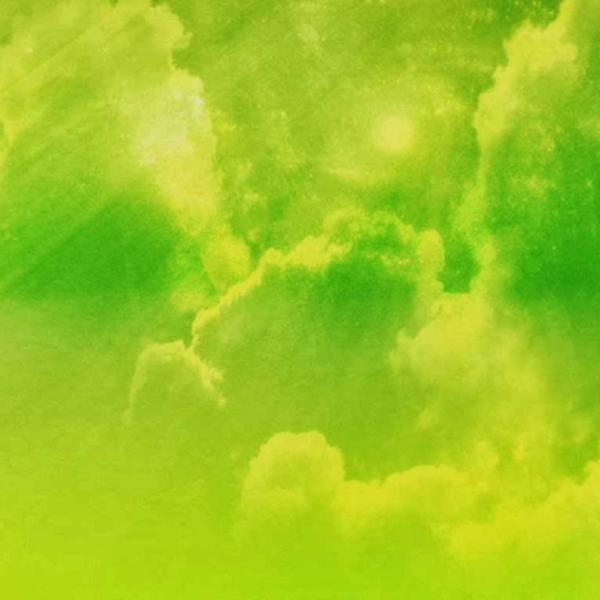 Grass.