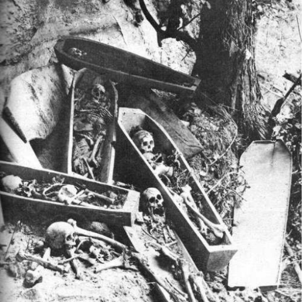 Grave Robber