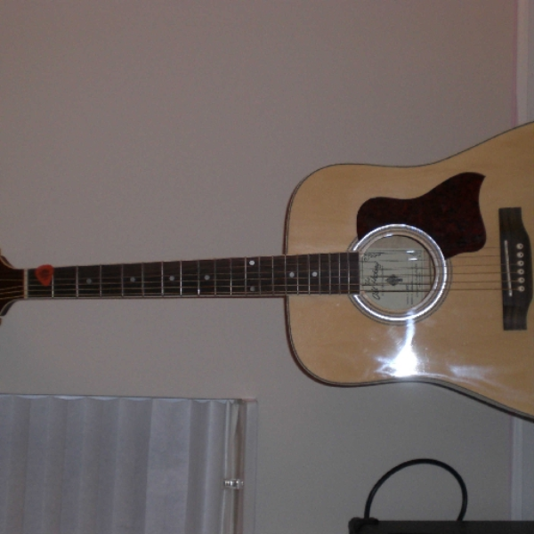 guitar dub