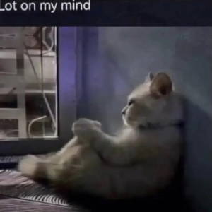 0_0