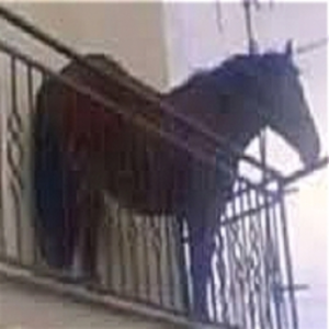 Juan but its vulkron house