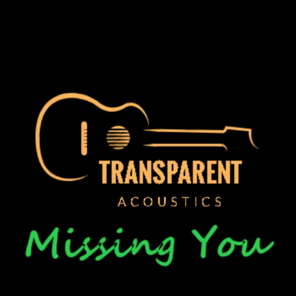 Missing You - Transparent Acoustics