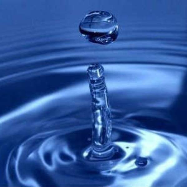 H2O